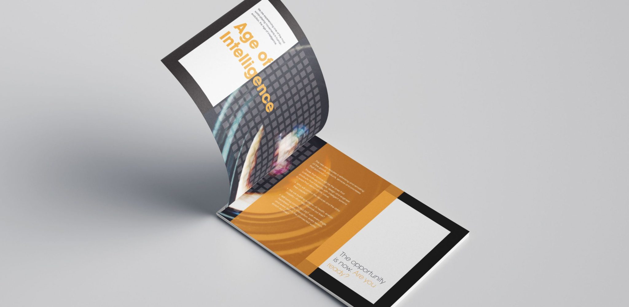 flex-brochure-middle
